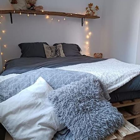塔拉尔T2 Ultra Cosy En Hypercentre公寓 外观 照片